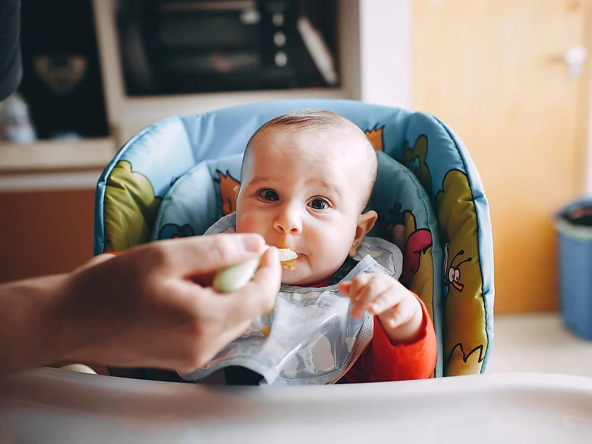 Bebek Vadisi Silikon Mama Önlüğü 2'li, Cepli