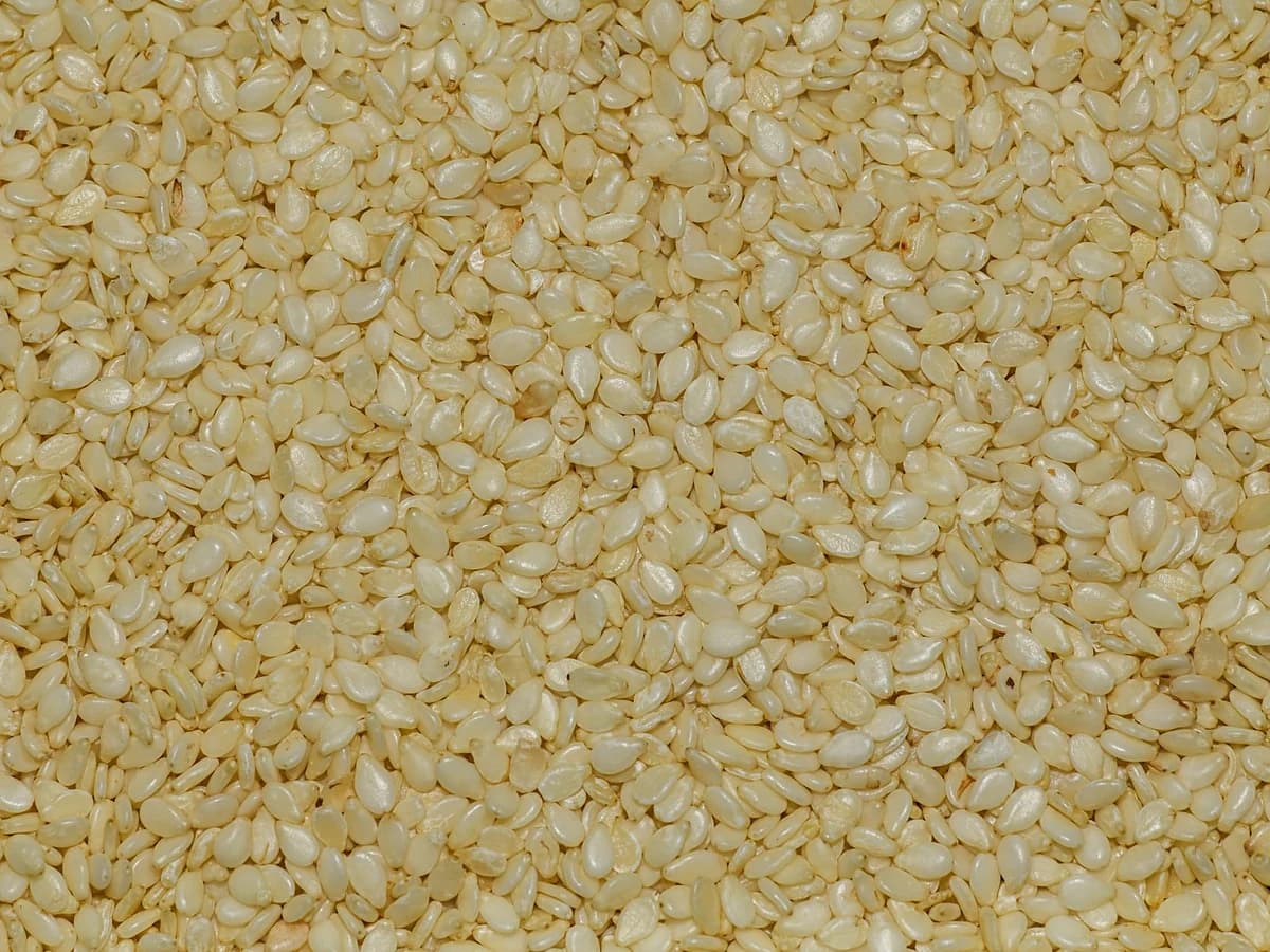 Koska Kabuğu Ayrılmış Susamdan Tahin 700 g Kavanoz