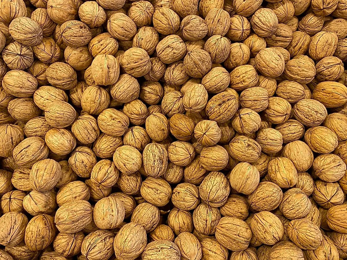 Malatya Bağları İç Ceviz 500 g, Yeni Sezon