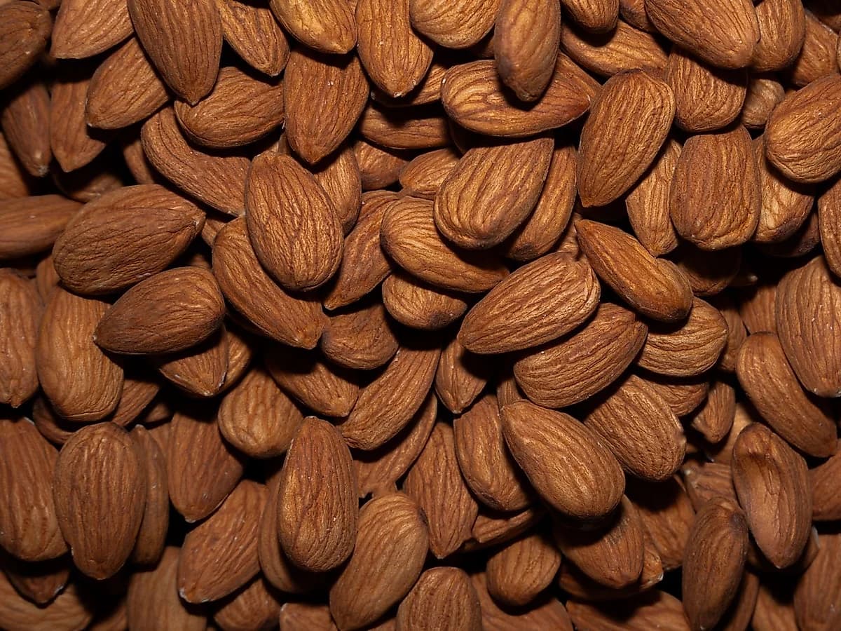 Tadım Çiğ Badem 500 g, Kabuksuz